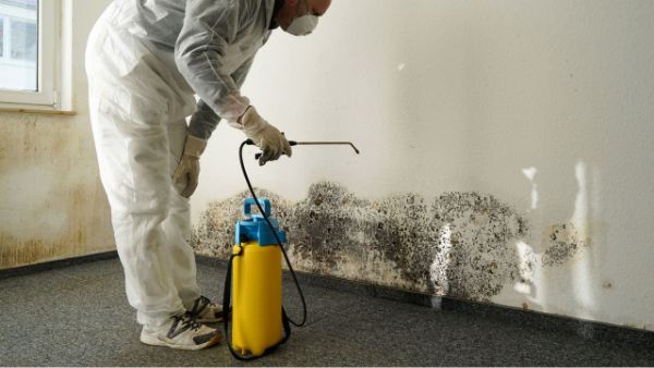 General / Basic Mold Remediation General / Basic Mold Remediation